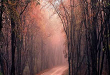 克裏斯蒂談高壓環境帶來的成長經歷.