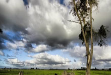 人生就是搏:足協杯半決賽次回合河南嵩山龍門2-4山東泰山 劉洋德爾加多雙雙梅開二度.