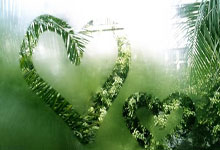 B費:希望與霍伊倫德等前鋒建立強大的合作關系!.