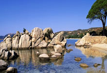 人生就是搏国际k8:西媒:哈维拒绝曼联等俱乐部 他准备下赛季再出山.